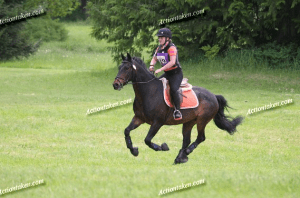 Screen Shot 2013-06-16 at 3.49.24 PM