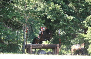 Screen Shot 2013-07-21 at 7.07.33 PM